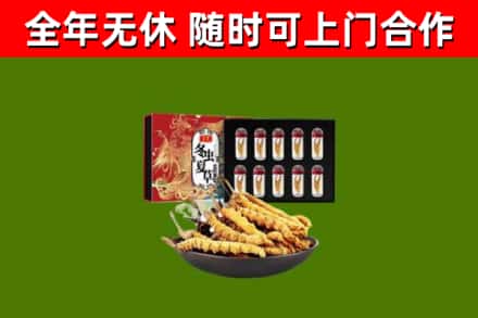 江南区回收冬虫夏草价格